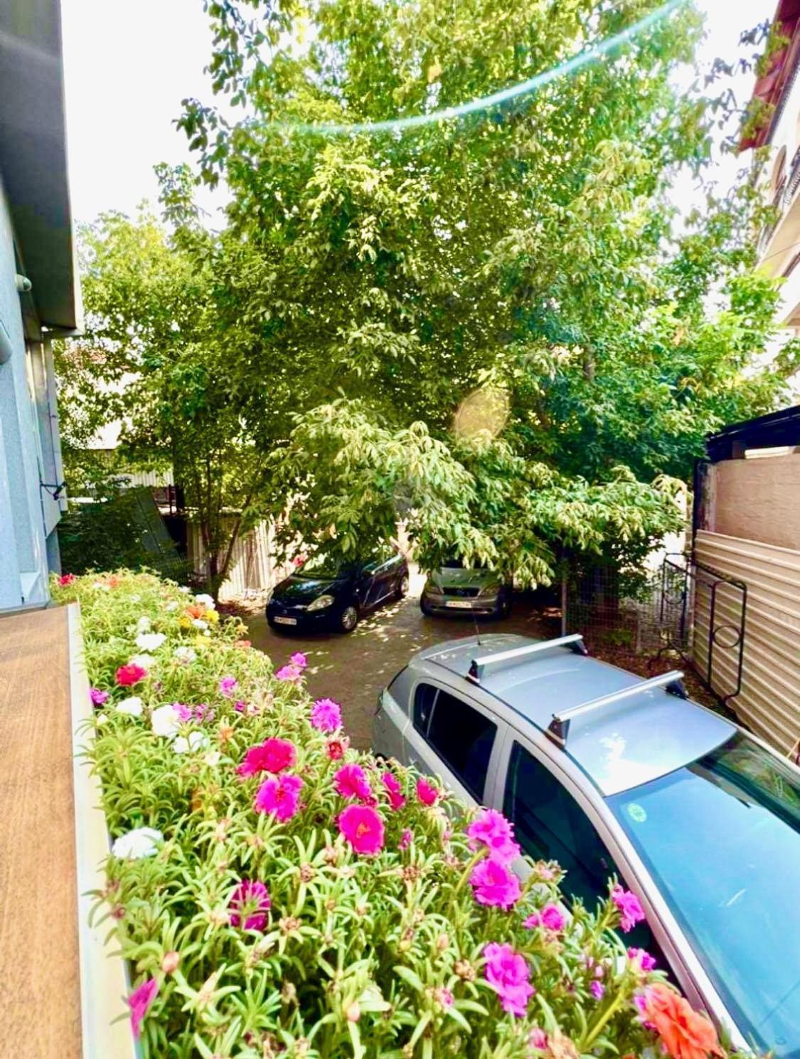 Lifestyle Gallery Apartment Skopje Luaran gambar